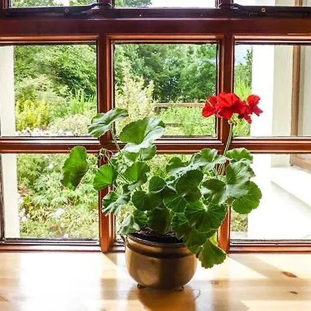 Hawthorn Farm Holiday home Curry