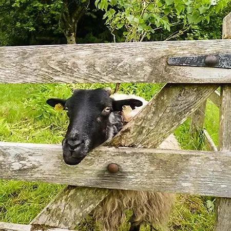 Hawthorn Farm