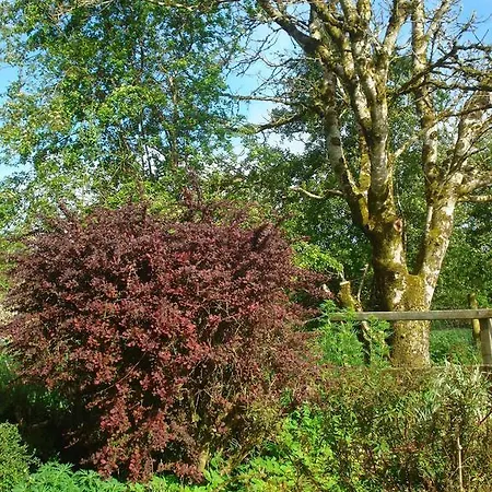 Ferienhaus Hawthorn Farm Tubbercurry