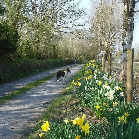Ferienhaus Hawthorn Farm *