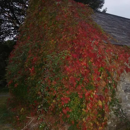 Feriehus Hawthorn Farm