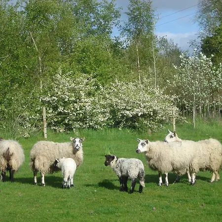 Hawthorn Farm